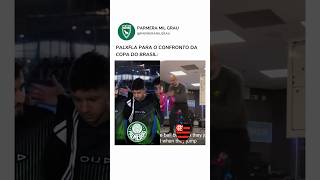 PALMEIRAS X FLAMENGO NA COPA DO BRASIL [upl. by Wahs]