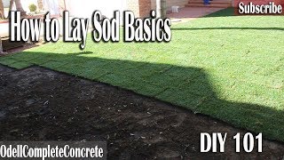 How to lay Sod 101 DIY [upl. by Htiduy]