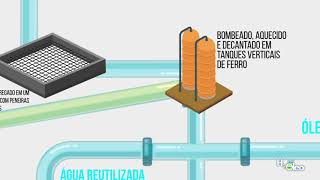 você sabe como é feito o processo de refino do óleo usado [upl. by Perrie793]