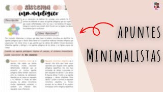 ✨🌟 Como hacer apuntes bonitos en word  apuntes minimalistas ✨🌟 [upl. by Maris]