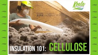 Insulation 101 Cellulose [upl. by Necyrb547]