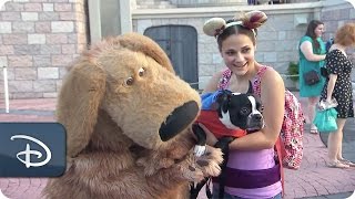 Dog’s Day at Magic Kingdom Park  Walt Disney World [upl. by Eilesor959]