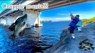 LAKE OKEECHOBEE CRAPPIE FISHING  FISH EVERYWHERE  CRAPPIE MANIA LEARNING NEW TECHNIQUES  VLOG [upl. by Siroval]