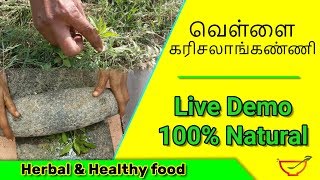 வெள்ளை கரிசலாங்கண்ணி Vellai Karisalankanni Bio name Eclipta Prostrata [upl. by Htir]