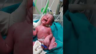 First cry baby at birthmaa shortvideo baby cutebaby status babyvideos cute nurse touching [upl. by Ethban186]