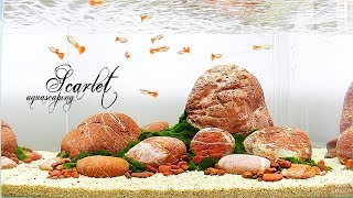 HOW TO Easy Guppy Aquarium  Aquascaping SCARLET [upl. by Ehttam]