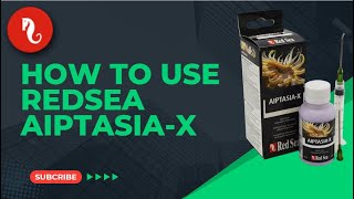 How to Use Aiptasia X Effective Aiptasia Removal Guide [upl. by Elesig]