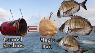 How To Make Magic Bait Less Than 1 With Canned Sardines  CatchMoreFish [upl. by Yvonner118]