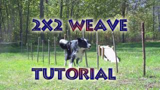 Agility Training Tutorial  Weave Poles 2X2 Poles Method [upl. by Lipkin]