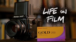 is Kodak Gold 200 that good  life on film [upl. by Johnette675]