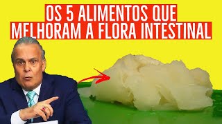 Aumentar a imunidade Os 5 alimentos que melhoram a flora microbiota intestinal  Dr Lair Ribeiro [upl. by Mikahs]