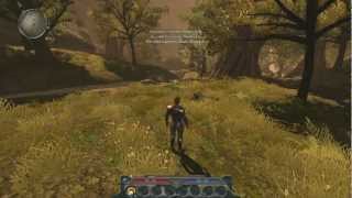 Divinity II Developers Cut [upl. by Eniamurt]