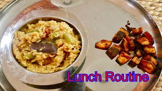 மதிய உணவு  Lunch Routine Vlog  Lunch Combo  Sambar Sadam  Banana Fry  Tamil Vlog [upl. by Forsyth]