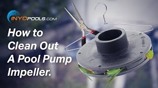 How To Clean Out A Pool Pump Impeller [upl. by Iclek785]