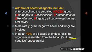 Infective Endocarditis [upl. by Werna]