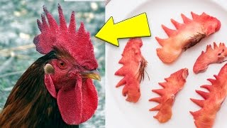 10 Most DISGUSTING Foods In The World People ACTUALLY Eat That  GROSS [upl. by Litton]