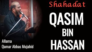 Shahzada Qasim Ibn E Hassan as  Allama Qamar Abbas Mujahid [upl. by Eilyab612]