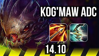 KogMaw Gameplay How to Play KogMaw BOTADC BuildGuide LoL Meta [upl. by Dobrinsky505]