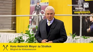 Verdener Hengstkörung und Hengstmarkt HansHeinrich Meyer zu Strohen über den ersten Körtag [upl. by Ttennej]