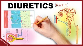 Pharmacology  Diuretics Simplified Part 1 [upl. by Whittemore]