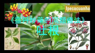 《靈丹妙藥的同類療法》 EP65  吐根 Ipecacuanha [upl. by Rehm]