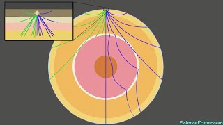 How earthquakes show us the inside of the Earth [upl. by Azaleah522]