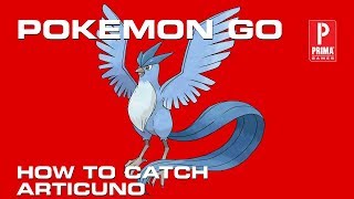 Pokemon GO  How to Catch Articuno [upl. by Dennis192]