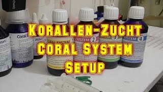 KorallenZucht Coral System Part 1 Setup  Reef Tank [upl. by Nohtan]