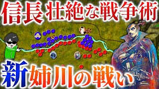 革命者・信長の戦争！予想外の【新・姉川の戦い】世界の戦術戦略を解説～織田・徳川家康に挑む浅井長政の秘策【どうする家康】 [upl. by Georgine]