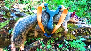 Squirrel Hunting with Slingshot [upl. by Jesselyn909]