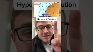 Isotonic Hypertonic Hypotonic Solutions [upl. by Leruj]