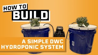 How to Build a Hydroponic System Under 30  Deep Water Culture Hydroponics [upl. by Asilram361]