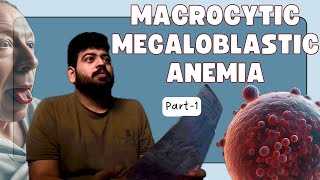 Macrocytic Megaloblastic Anemia Part1 medical anemia rbc medico pathology physiology [upl. by Lally399]