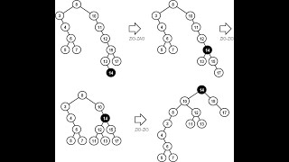 Splay Tree in Data Structure [upl. by Ioved764]