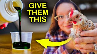 How to NATURALLY Deworm and Prevent Parasites in Chickens [upl. by Sosthina338]