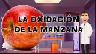 La oxidación de la manzana Experimento [upl. by Maddie]