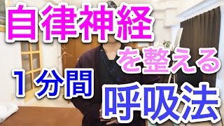 【実践】自律神経を整える１分間呼吸法！パニック・息苦しさも解消！ [upl. by Cocke690]