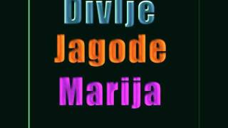 Divlje Jagode  Marija [upl. by Truc]