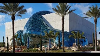 The Dali Museum An Unparalleled Experience [upl. by Moshe]