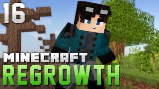 Minecraft Regrowth  HOW TO GET LEATHER  Ep 16 Modded Minecraft [upl. by Kowalski]