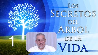 Kabbalah Los secretos del árbol de la vida  clase 1 [upl. by Neelik343]