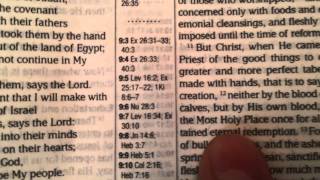 New Textus Receptus Translation MEV Bible Review  Modern English Version [upl. by Klaus998]