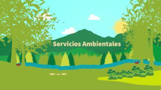 Conoce el Programa de Pago por Servicios Ambientales [upl. by Annodal566]