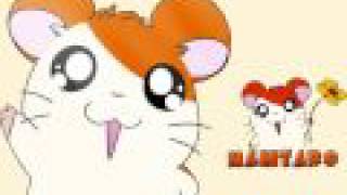 Hamtaro Japanese Intro [upl. by Leahcar]