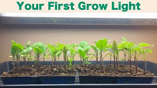 Grow Lights for Seed Starting [upl. by Eenram984]