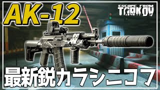 【タルコフ】最新モデルのカラシニコフ AK12は制圧力抜群で強い【ずんだもん】 [upl. by Aerdnua]