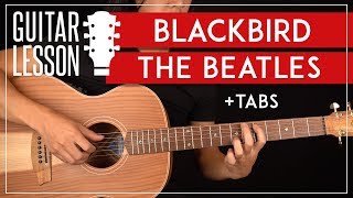 Blackbird Guitar Lesson 🎸 The Beatles Tutorial Fingerpicking  TAB [upl. by Melisenda620]