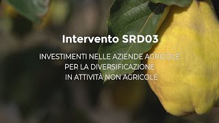 Intervento SRD03  Investimenti per la Diversificazione delle Aziende Agricole in Sicilia  Spot [upl. by Anatollo]