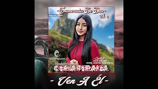 10 VEN A ÉL  CESIA PERALTA VOL 1  AUDIO OFICIAL 2023 [upl. by Streetman316]