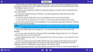 Audio Bible Genesis [upl. by Niessuh640]